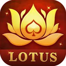 gin rummy app free download